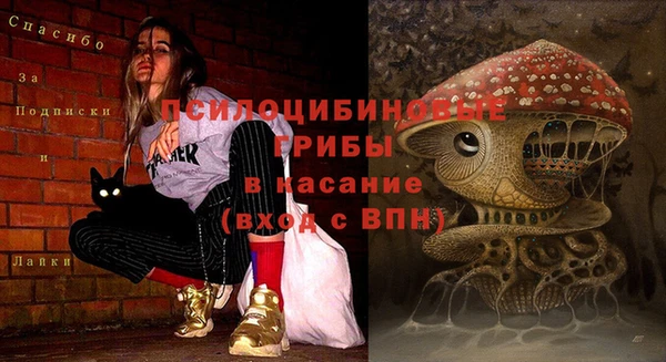 MESCALINE Абаза